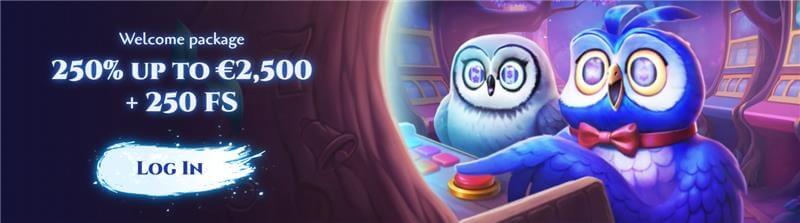 Spinightボーナス